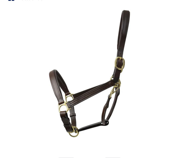 Coldstream Leather Padded Head Collar