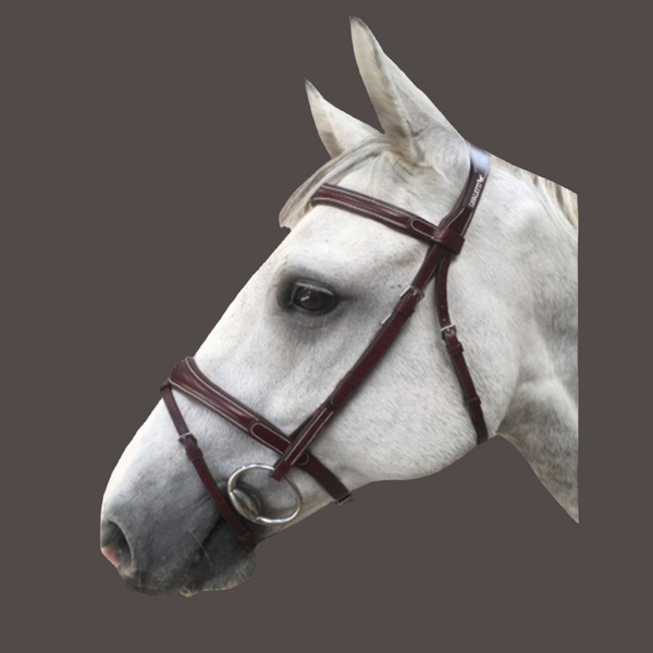 Cavaletti Comfort Bridle