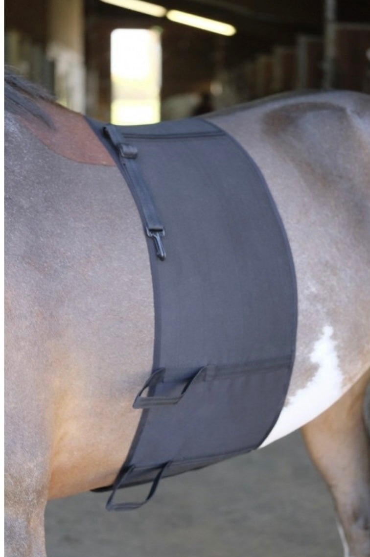 Belly Band CC Equestrian