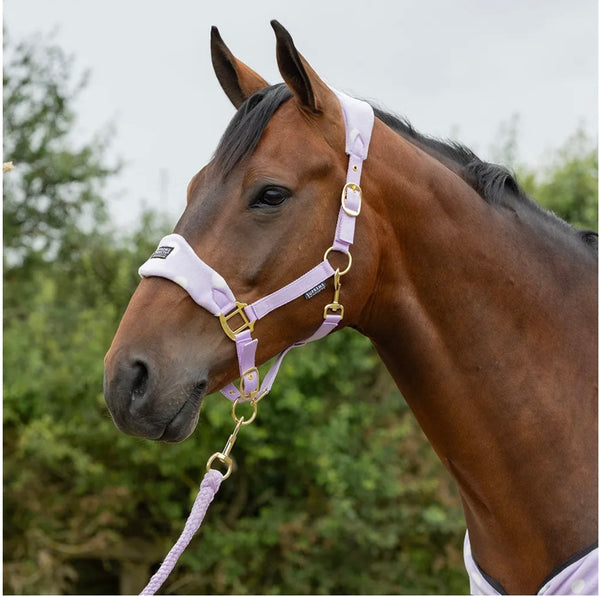 Dotty Fleece Lilac Headcollar & Rope