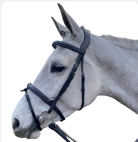 Bridles