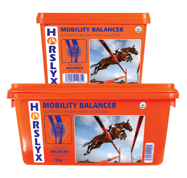 Horslyx 15kg (Collection Only)