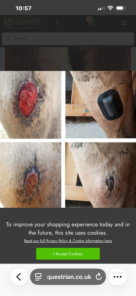 Rheva Large Wound Protection