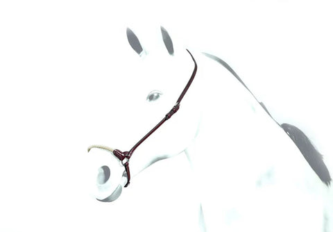White Rope Drop Noseband with Brown Leather - BR43