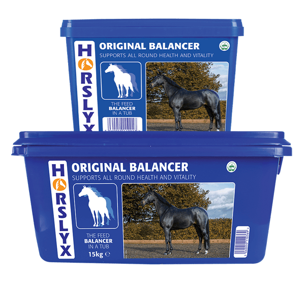 Horslyx 15kg (Collection Only)