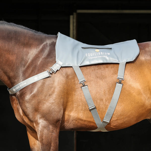 Equilibrium Massage Pad