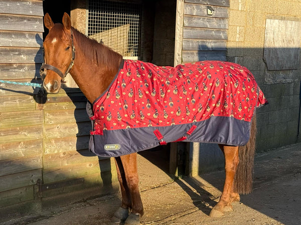 Storm X 100g Turnout Rug - Thelwell Collection