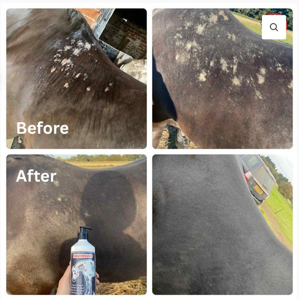 Equimedic Soothing Ointment United Equine