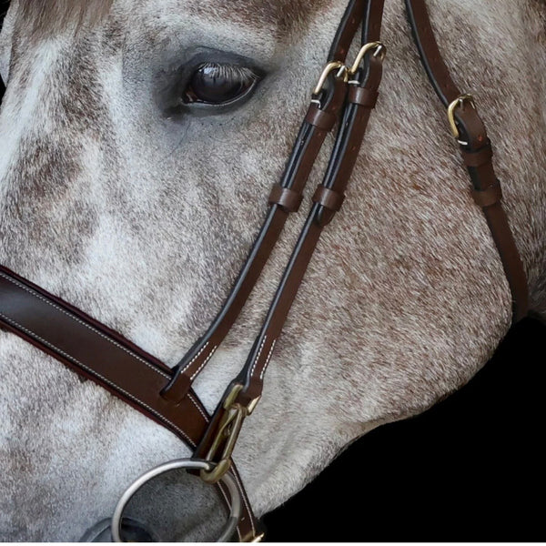 Whitaker Rome Drop Nose Bridle with Reins  ( BR102 )