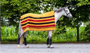 Newmarket Horse Blanket /Rug