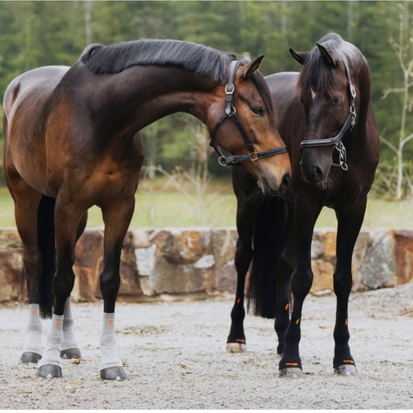 Incrediwear Equine Circulation  Hoof Socks