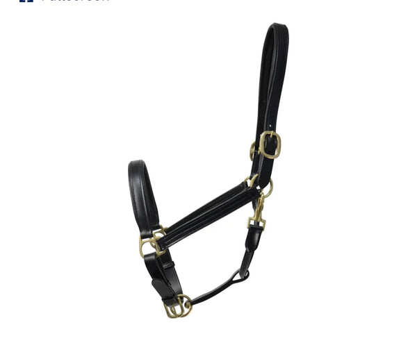 Coldstream Leather Padded Head Collar
