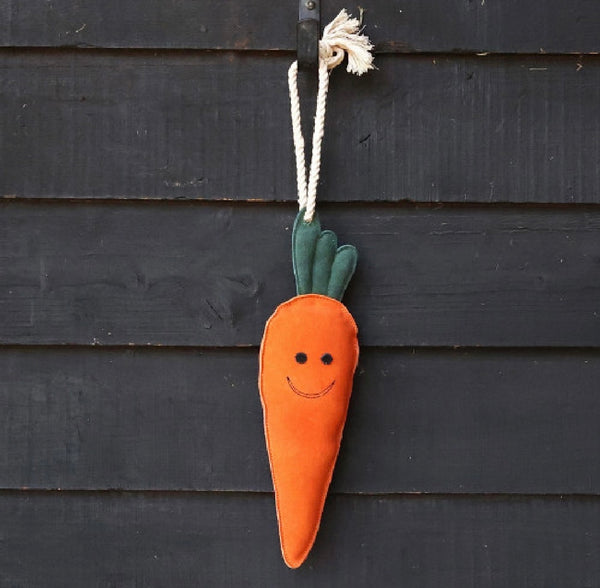 Crunchie the Carrot Toy