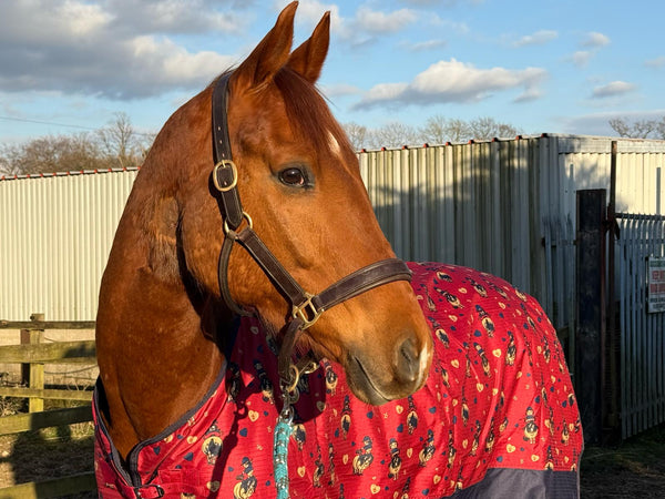Storm X 100g Turnout Rug - Thelwell Collection