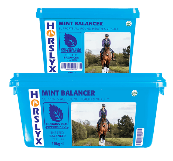 Horslyx 15kg (Collection Only)