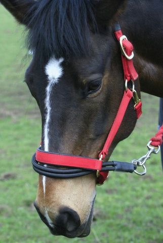 Ezyloader Head Collar Adapter