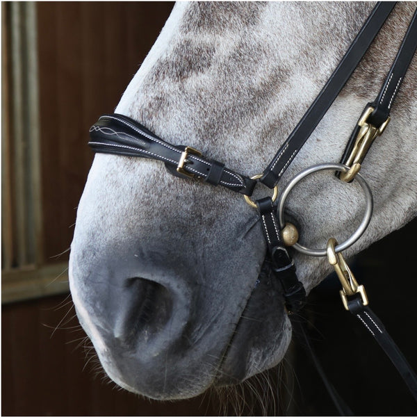 Whitaker Rome Drop Nose Bridle with Reins  ( BR102 )