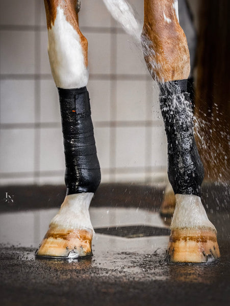 Incrediwear Exercise Bandages