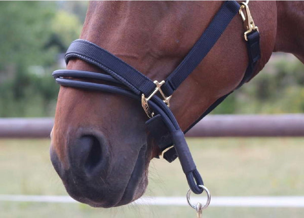 Ezyloader Head Collar Adapter
