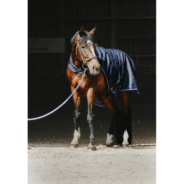 Equitheme Walker /Lunge Rug