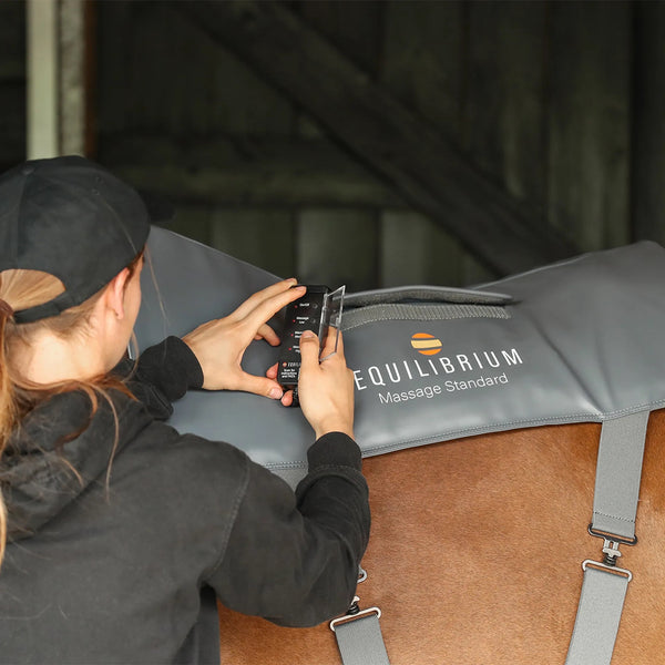 Equilibrium Massage Pad