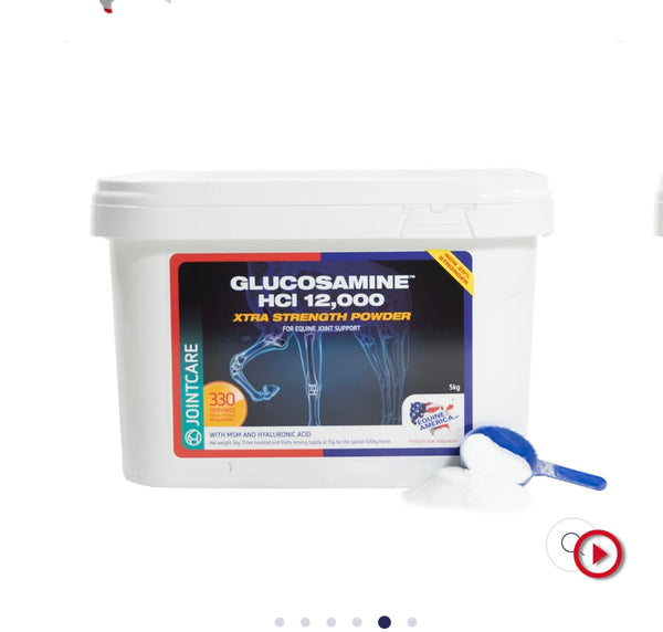 Equine America Glucosamine HCI 12,000