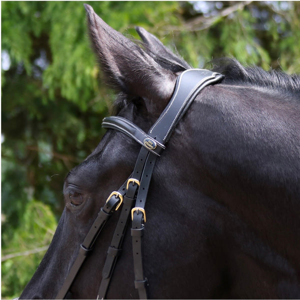 Whitaker Rome Drop Nose Bridle with Reins  ( BR102 )