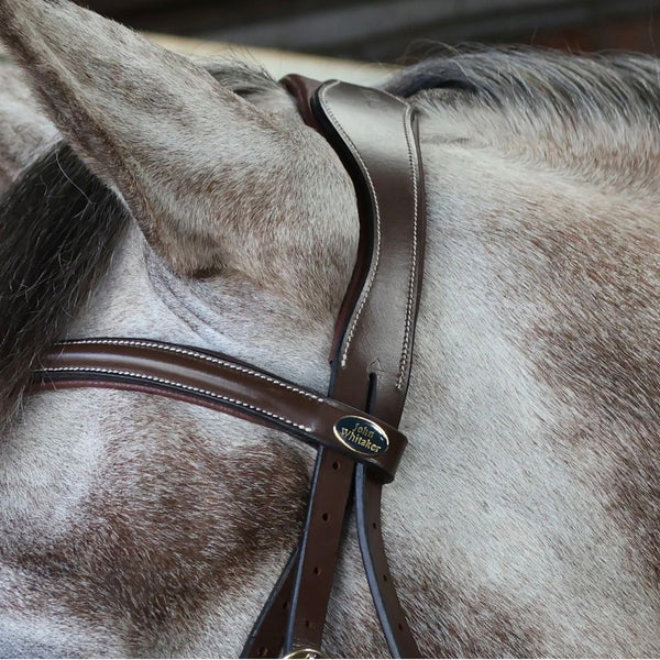 Whitaker Rome Drop Nose Bridle with Reins  ( BR102 )