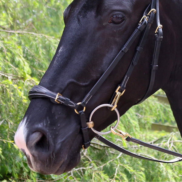 Whitaker Rome Drop Nose Bridle with Reins  ( BR102 )