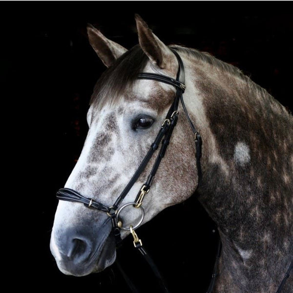 Whitaker Rome Drop Nose Bridle with Reins  ( BR102 )