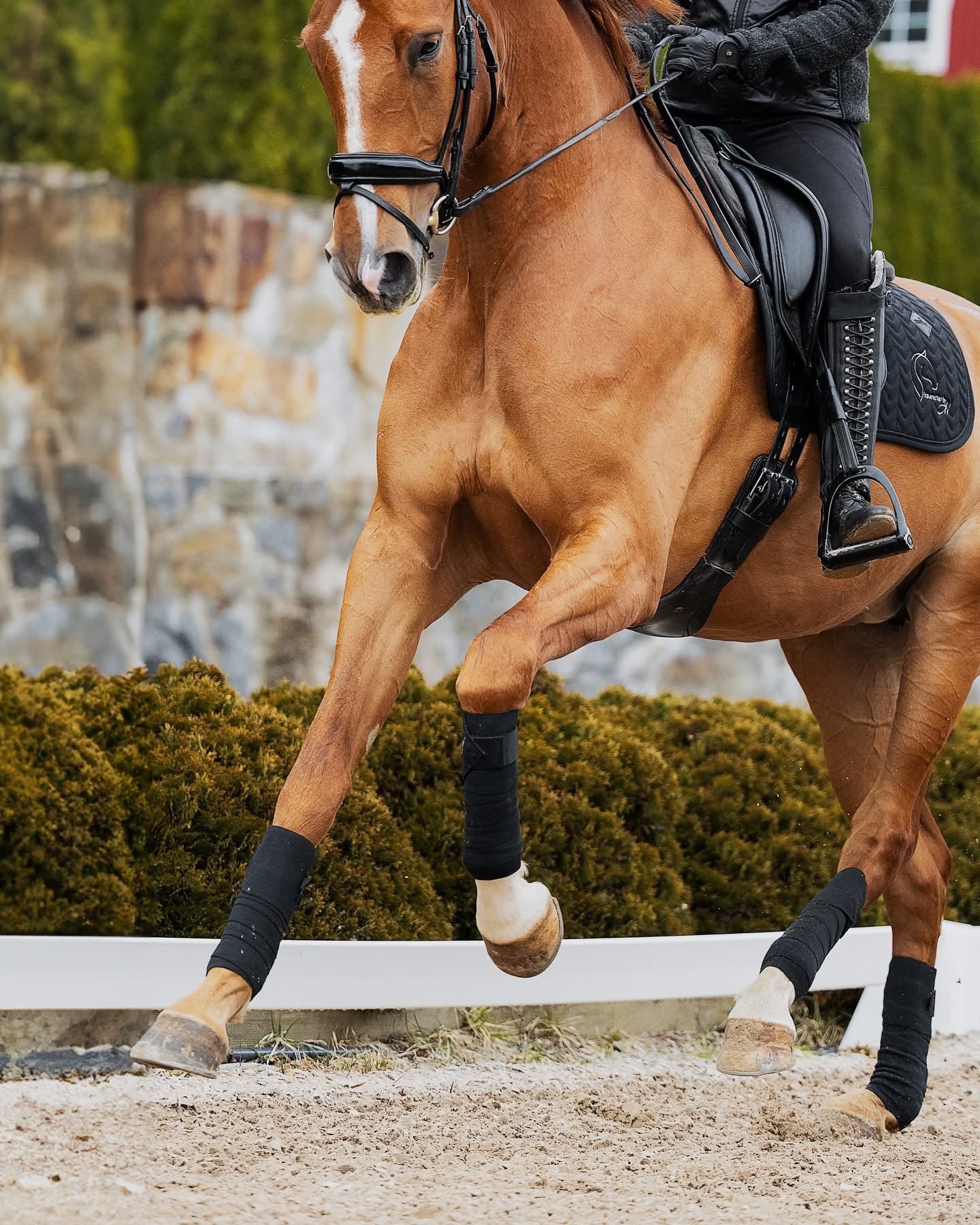 Incrediwear Exercise Bandages