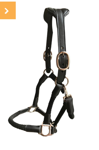 Cavaletti Headcollar