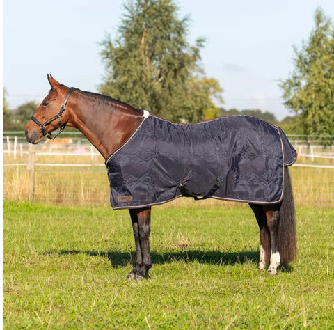 Storm X Luxury Show Rug