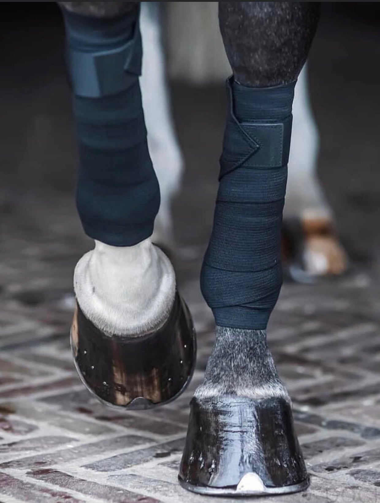 Incrediwear Exercise Bandages