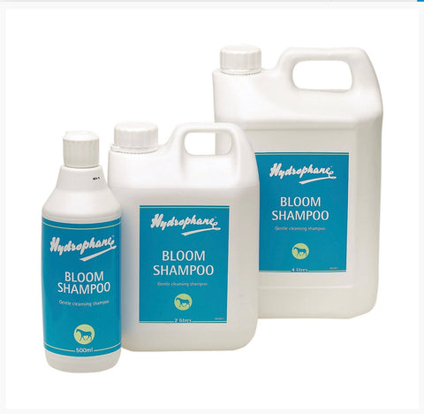 Bloom Shampoo  Hydrophane - 5 Litre