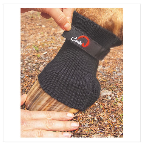 Cavallo Comfort Sleeve