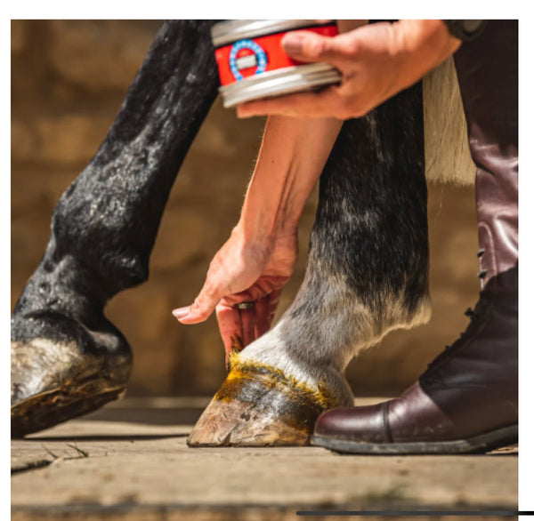 Cornucrescine Hoof Ointment