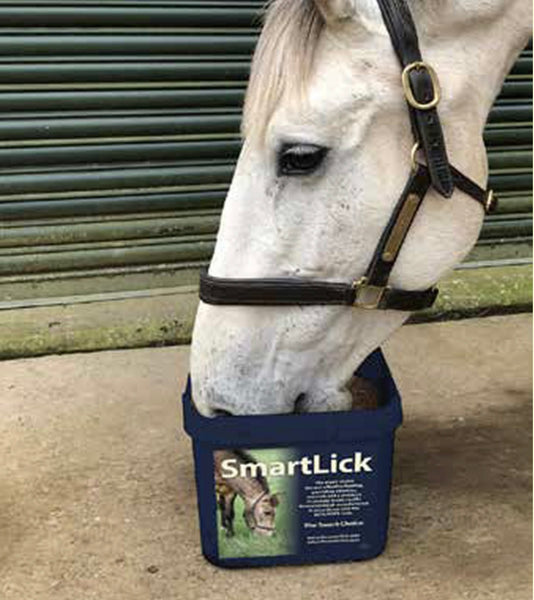 Smartlick