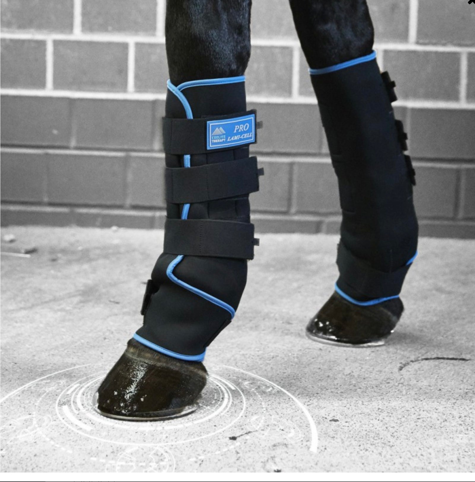 Ice Boots Lami -Cell Cooling Therapy
