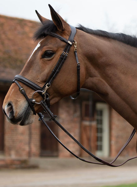 Mark Todd Work Bridle / Clip / Work Bridle