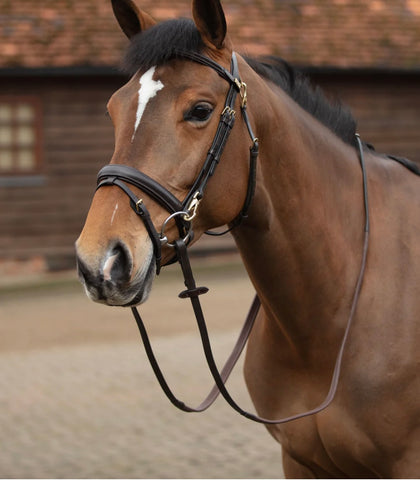 Mark Todd Work Bridle / Clip / Work Bridle