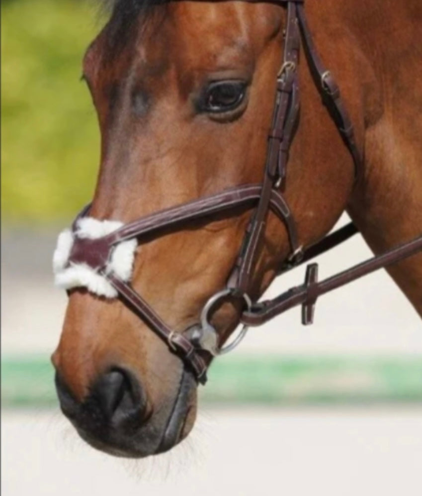Ikonic Grackle Noseband Fancy Stitch