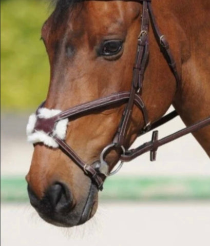 Ikonic Grackle Noseband Fancy Stitch