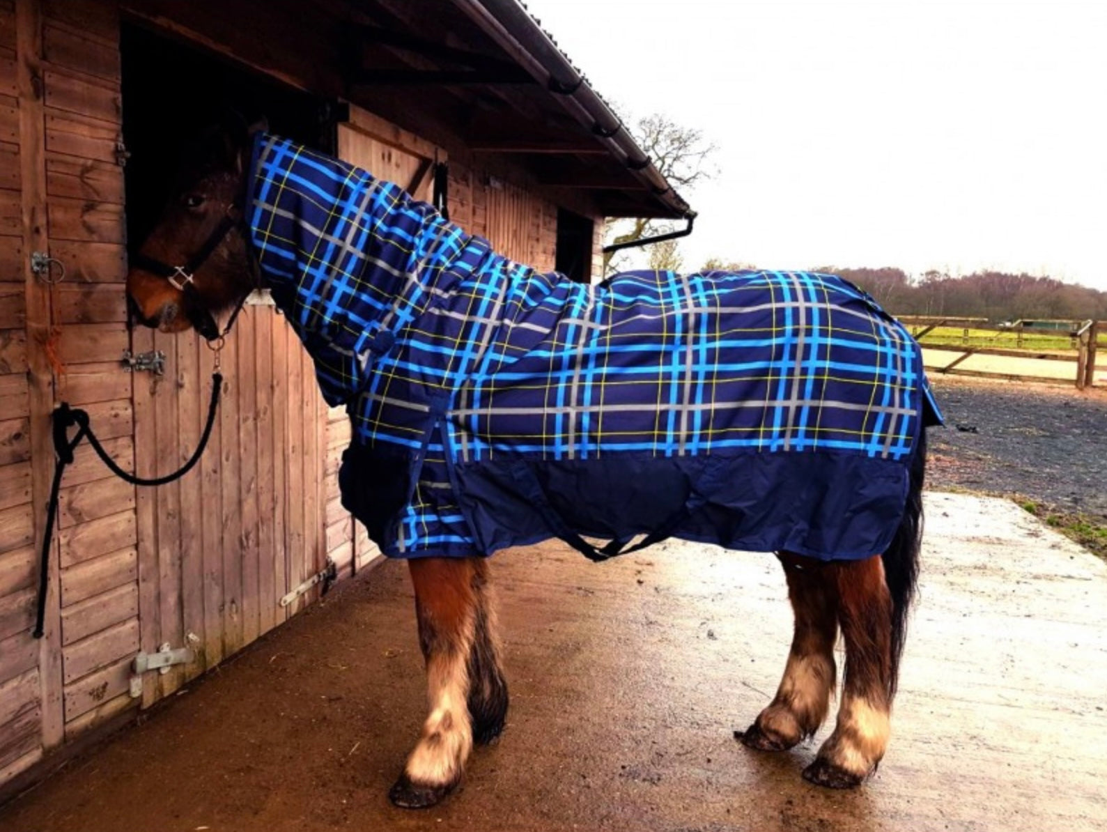 Sheldon Combo Turnout Rug – CC Equestrian