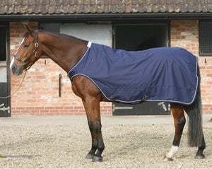 Mark Todd Walker /Lunge Rug