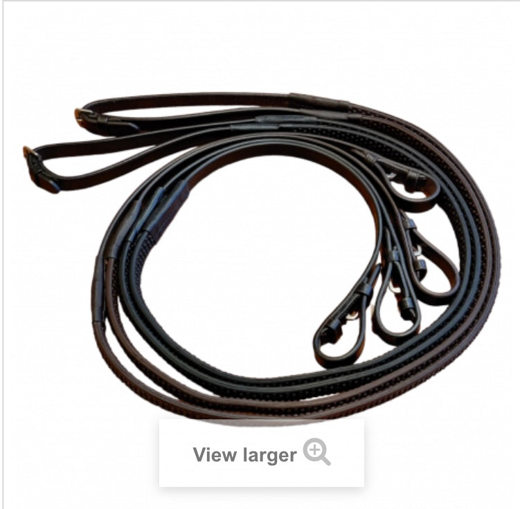 Bio Reins