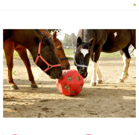 Play Ball /Hay Ball
