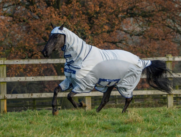 Bucas Sweet - Itch X Fly Rug Silver