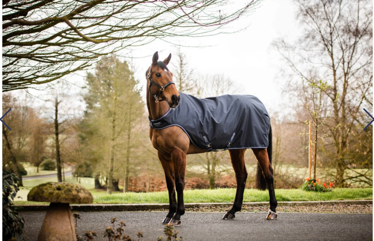 Horseware Walker Rug
