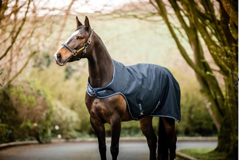 Horseware Walker Rug